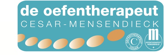 de oefentherapeut